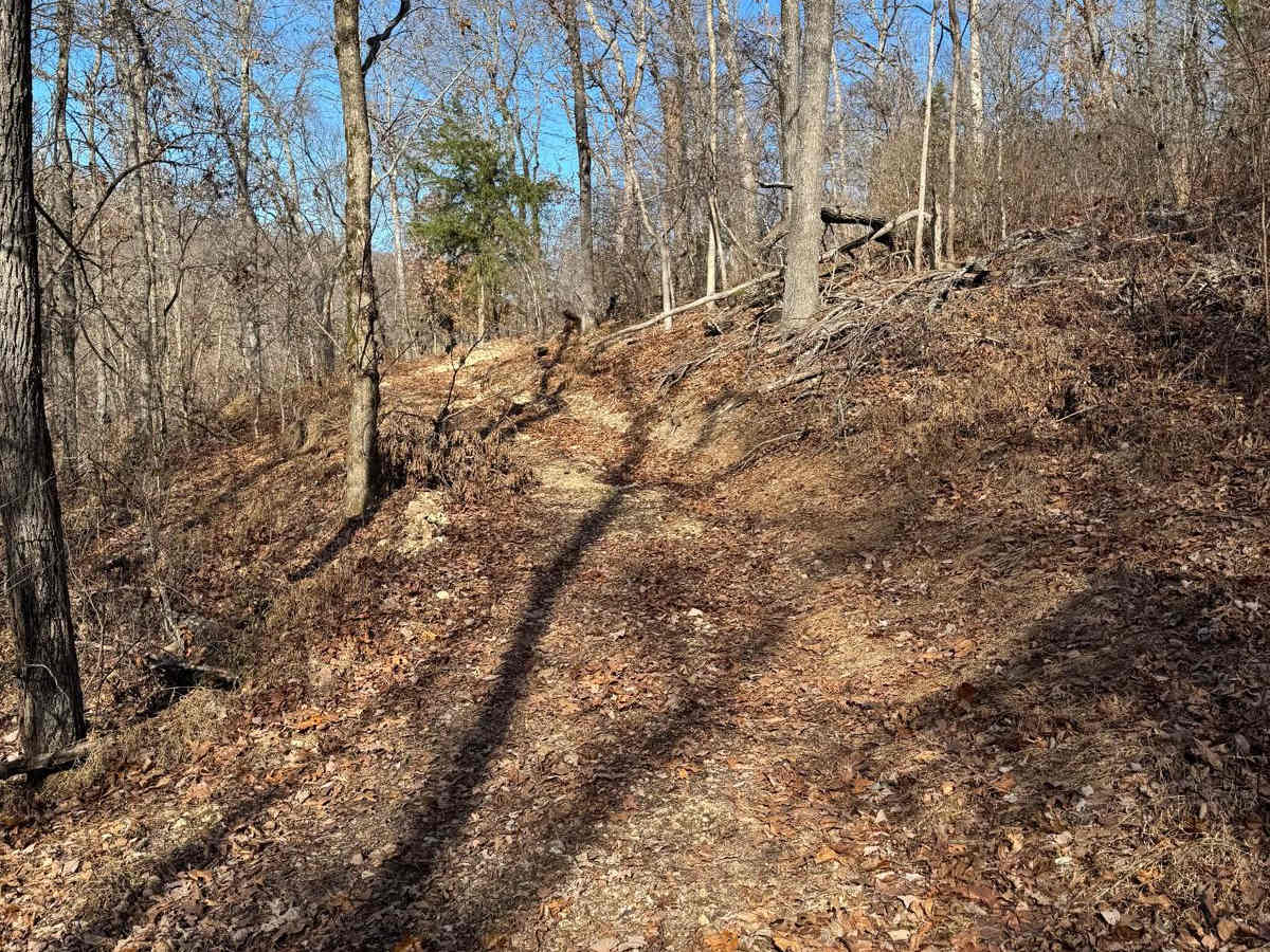 Green 251 trail photo