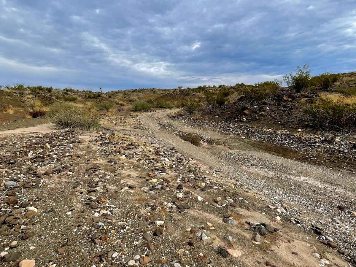 Terlingua Abaja photo 3
