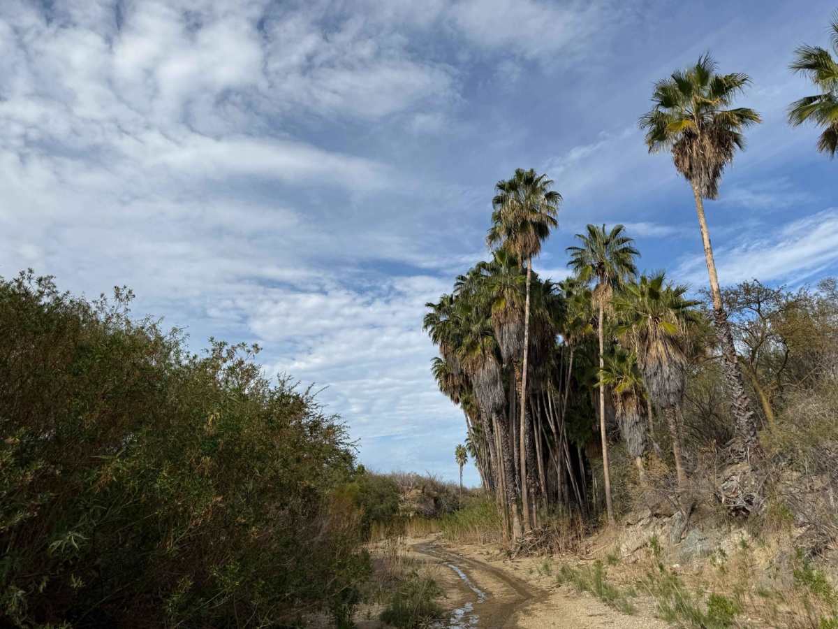 San Antonio Lavado de Oasis trail photo