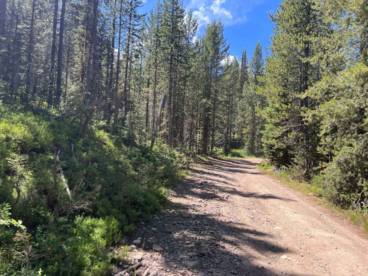 Slab Pile Road (1727) photo 2