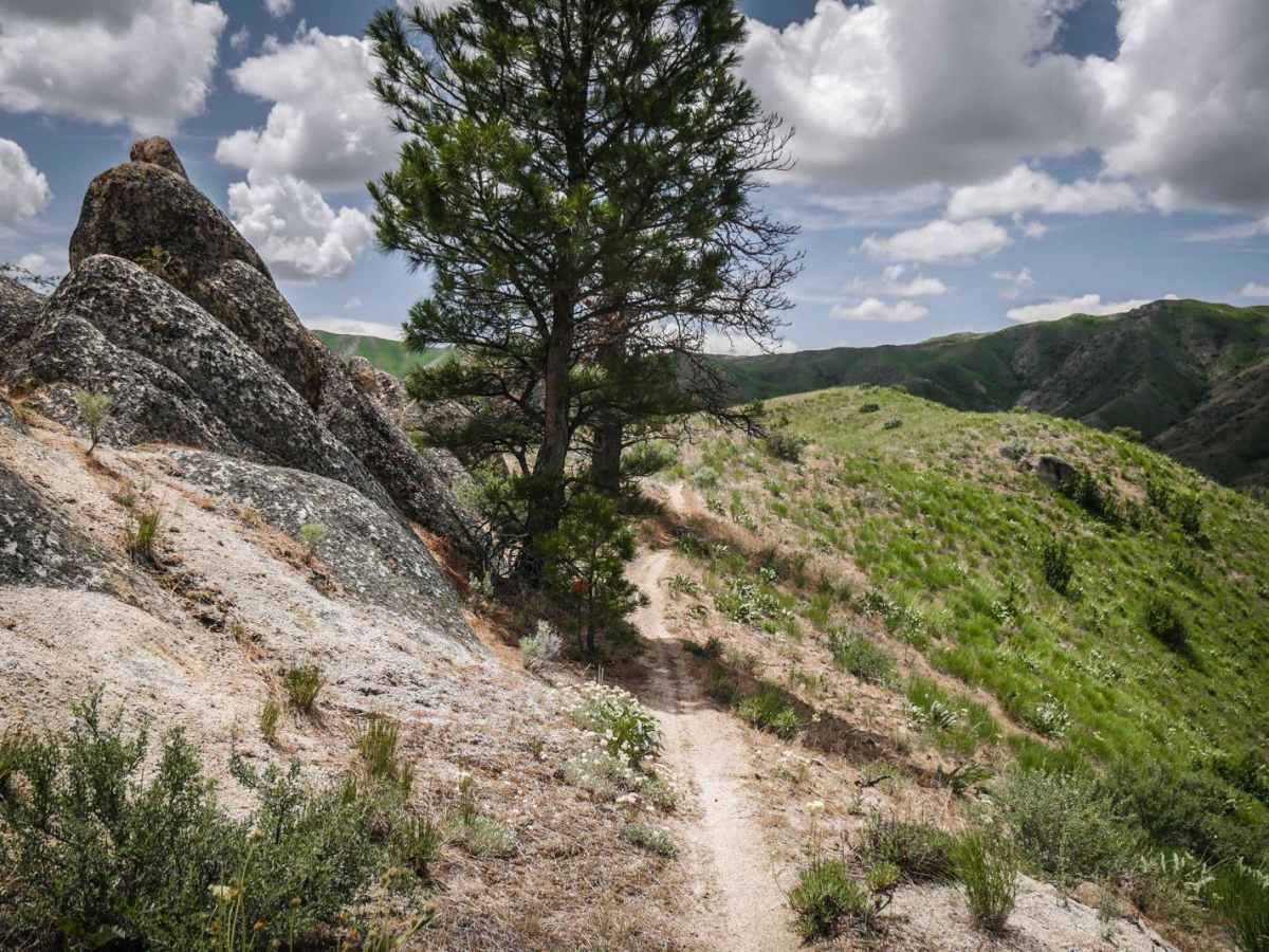411 trail photo