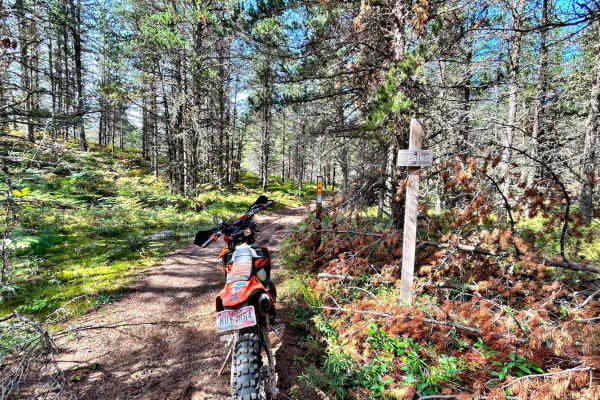 Baraga Plains South Loop