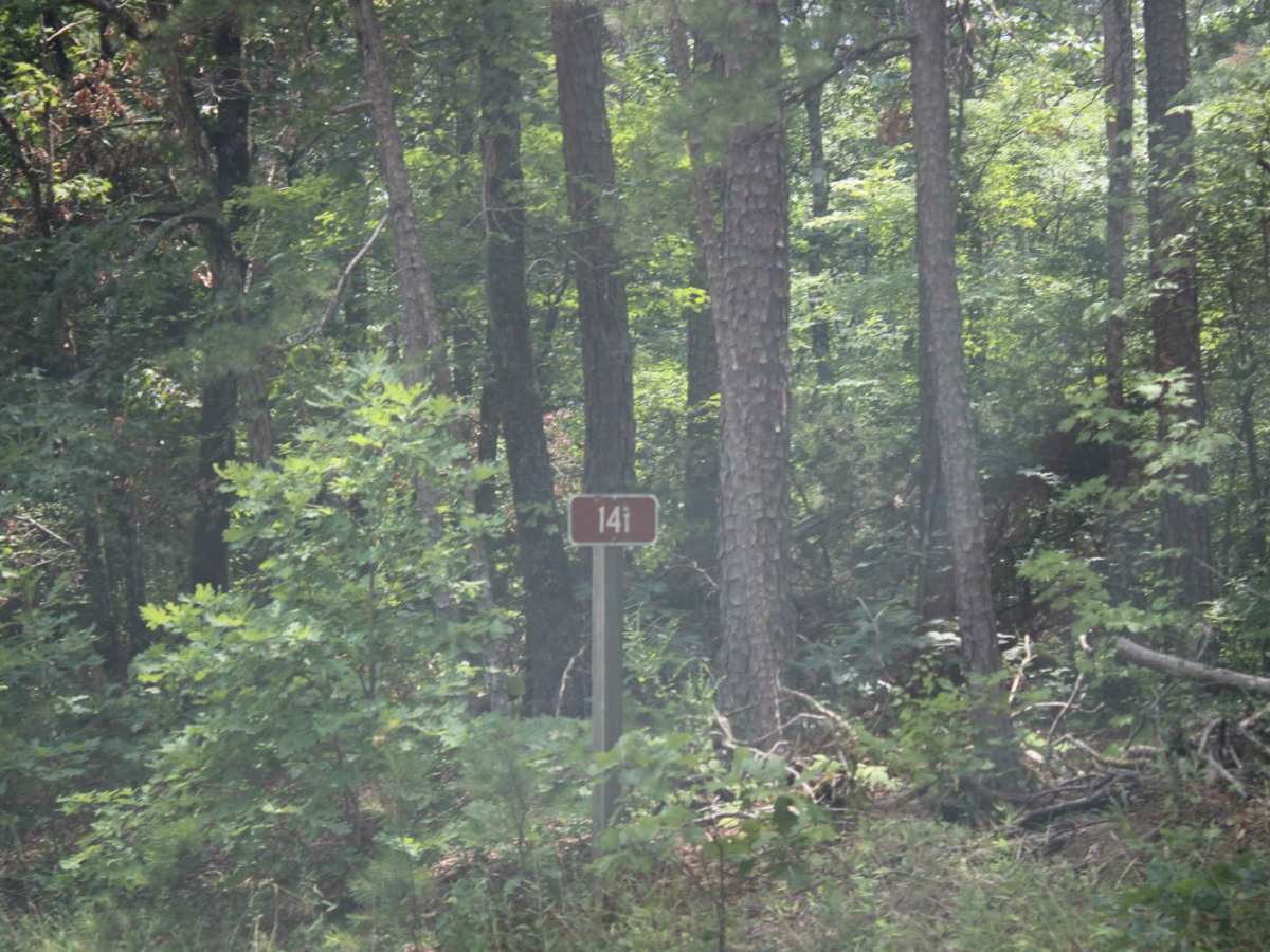 Jack Creek Road photo 3