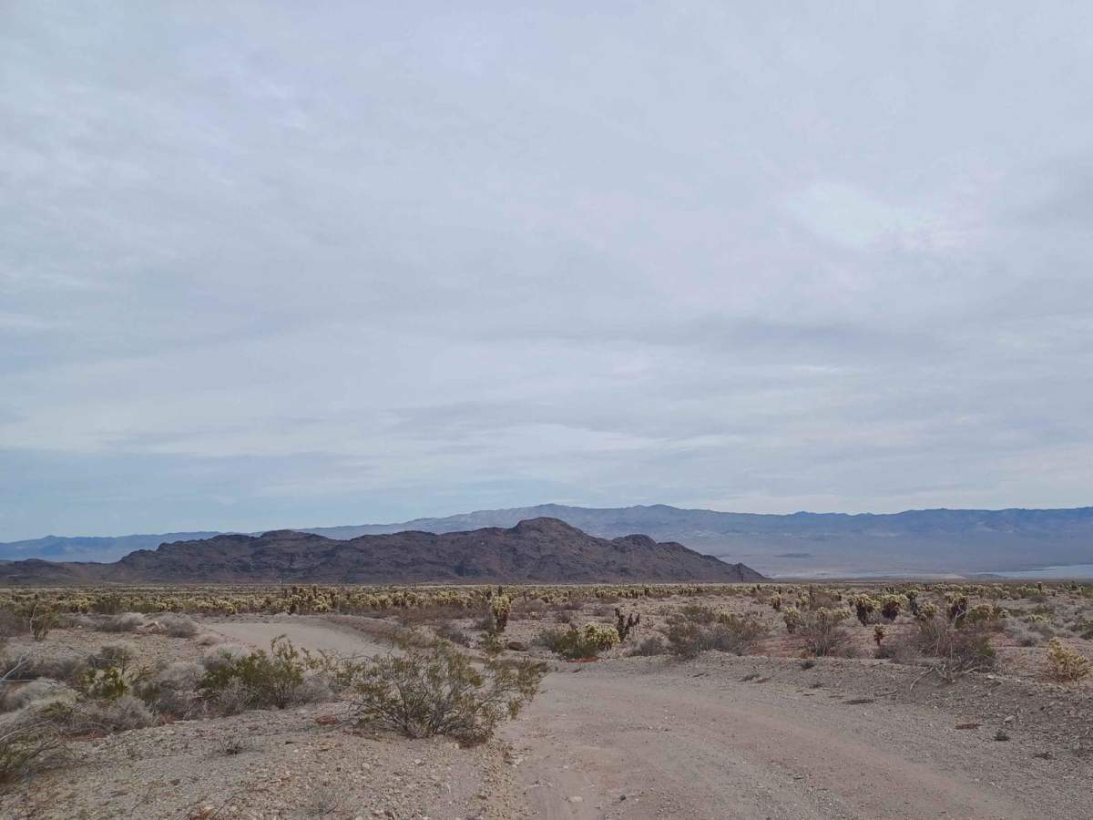 Rockefeller Mine Road photo 2