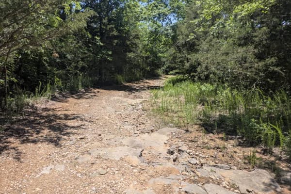 South Burnt Cabin Road - Northern Portion