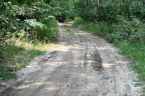 Lamb Road/Trail 39