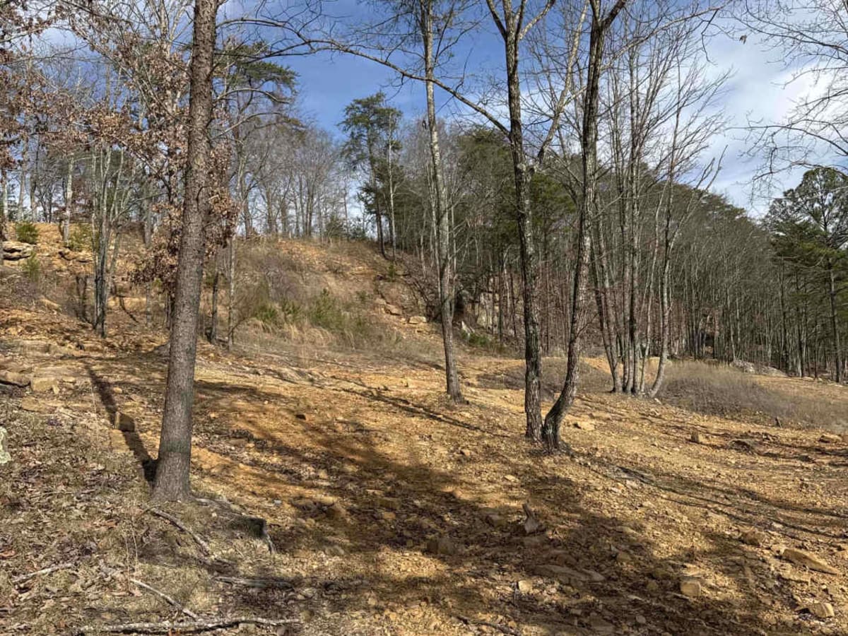#2 Bluff Trail photo 4