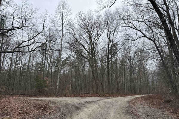 Bear Gap Road (FSR 431)