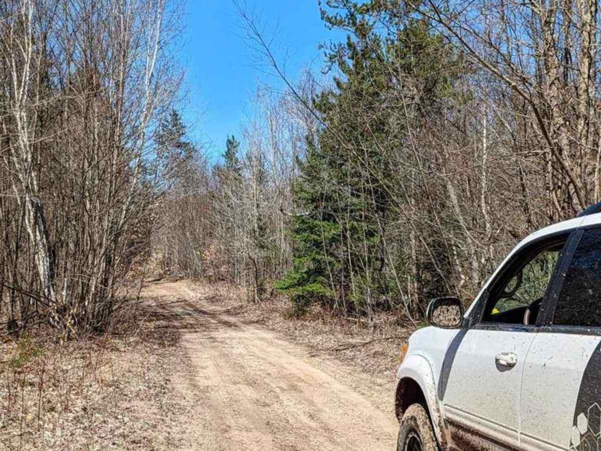 Perry Road trail photo