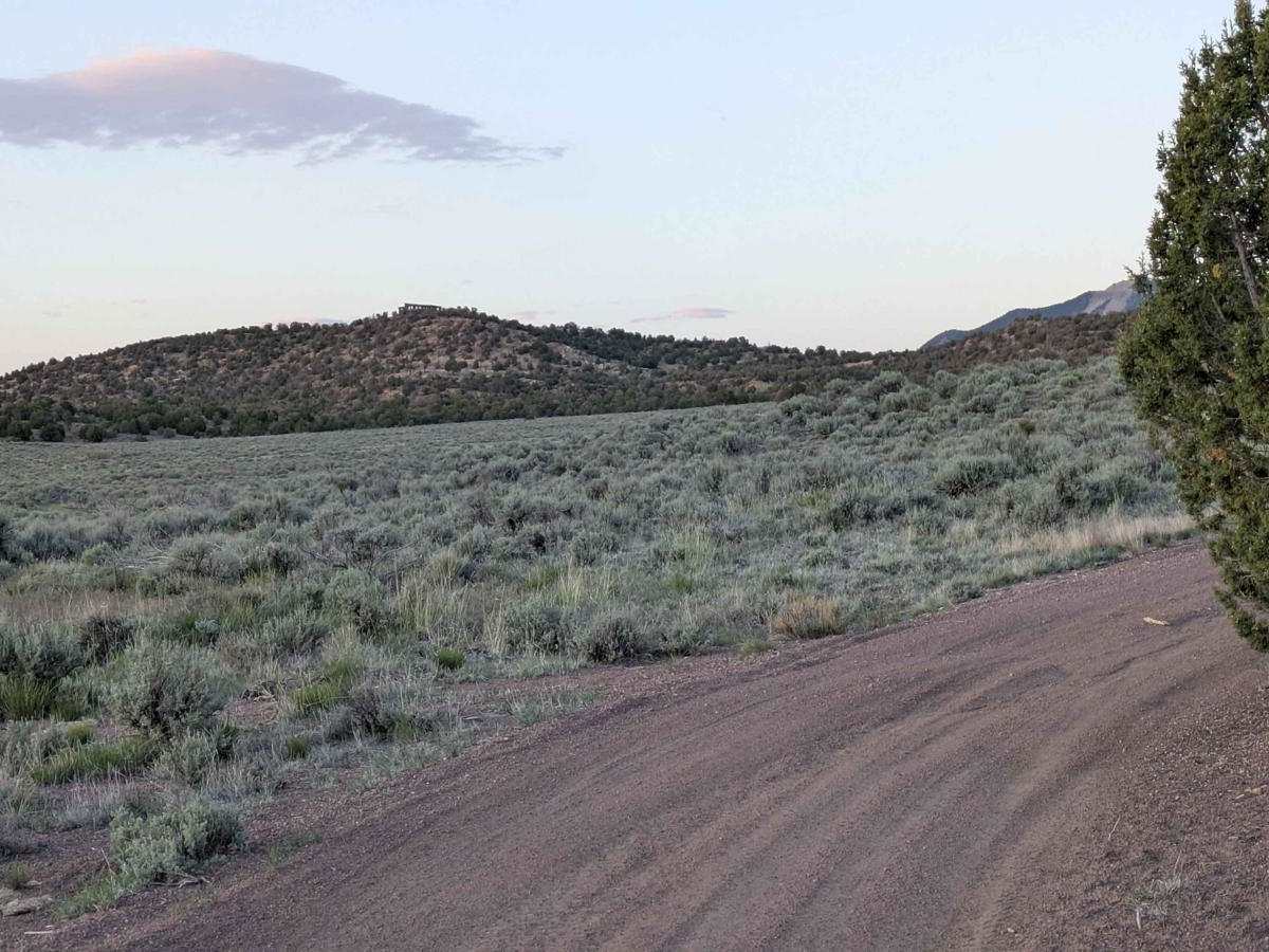 Seven Crossing BLM30754 photo 4