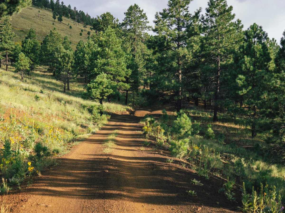 FS550 trail photo