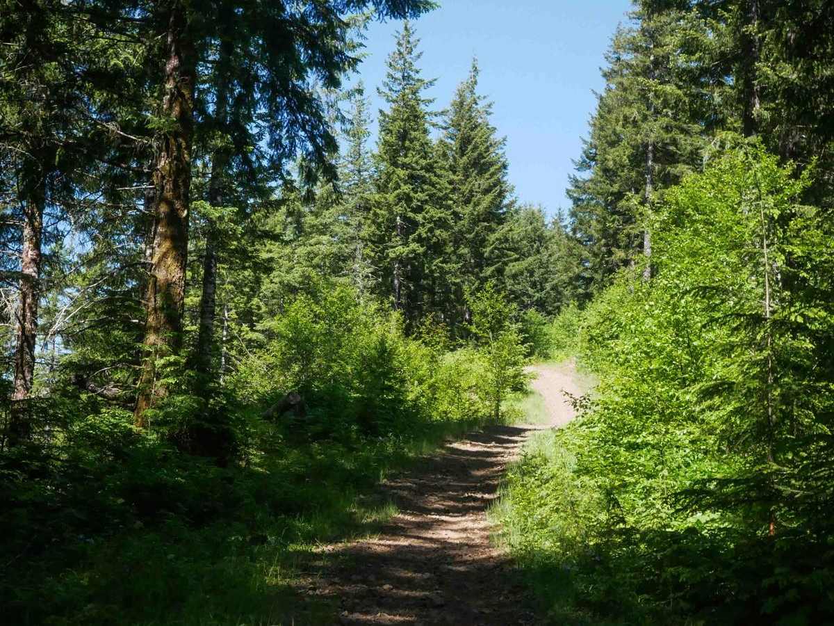 Tri Loop #111 photo 6