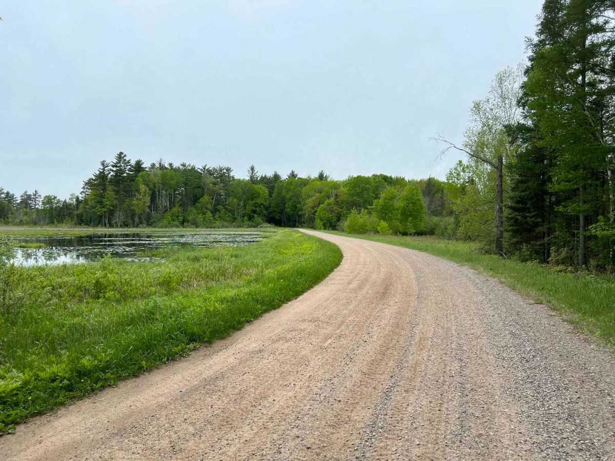 Wolf River Road Trail photo 5