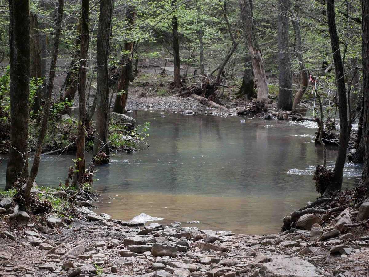Gap Hollow Spur West trail photo