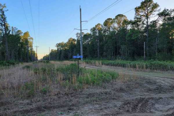 Cary State Forest - Thomas Creek Tract