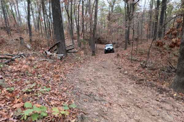 Logging Bank Trail (FSR #94449B)