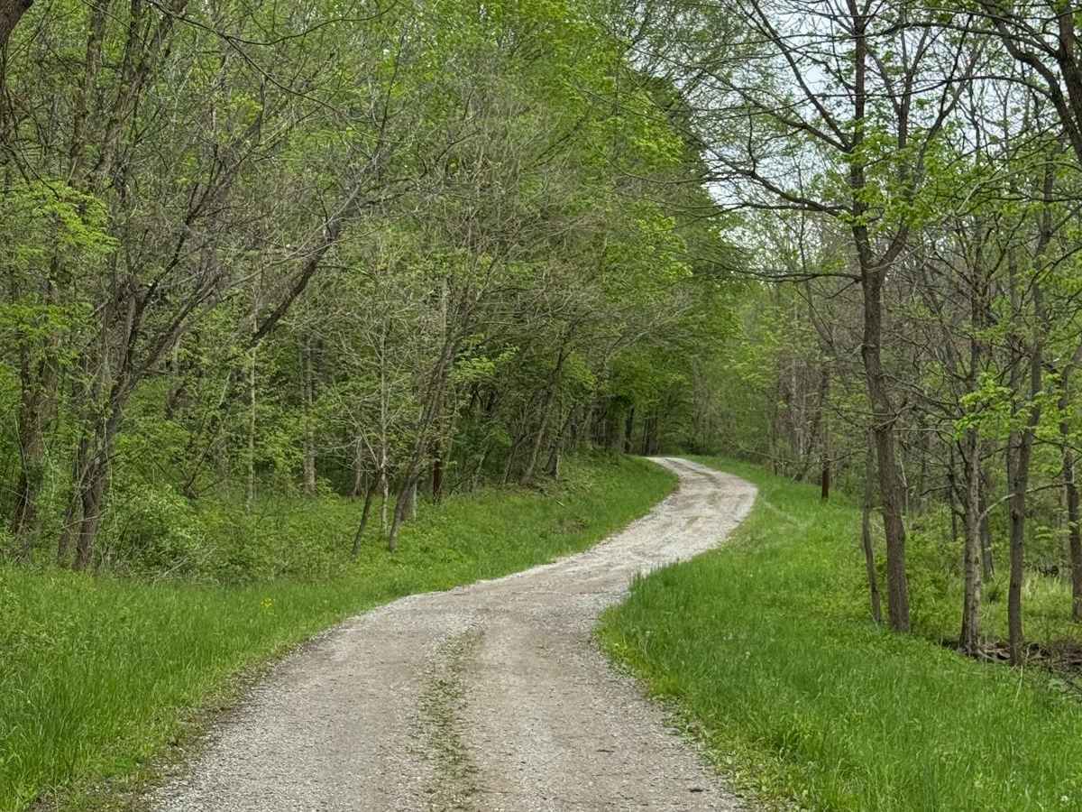 Young Road photo 6