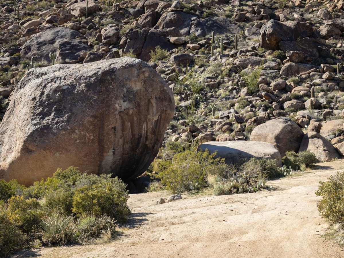 Echo Wash photo 4