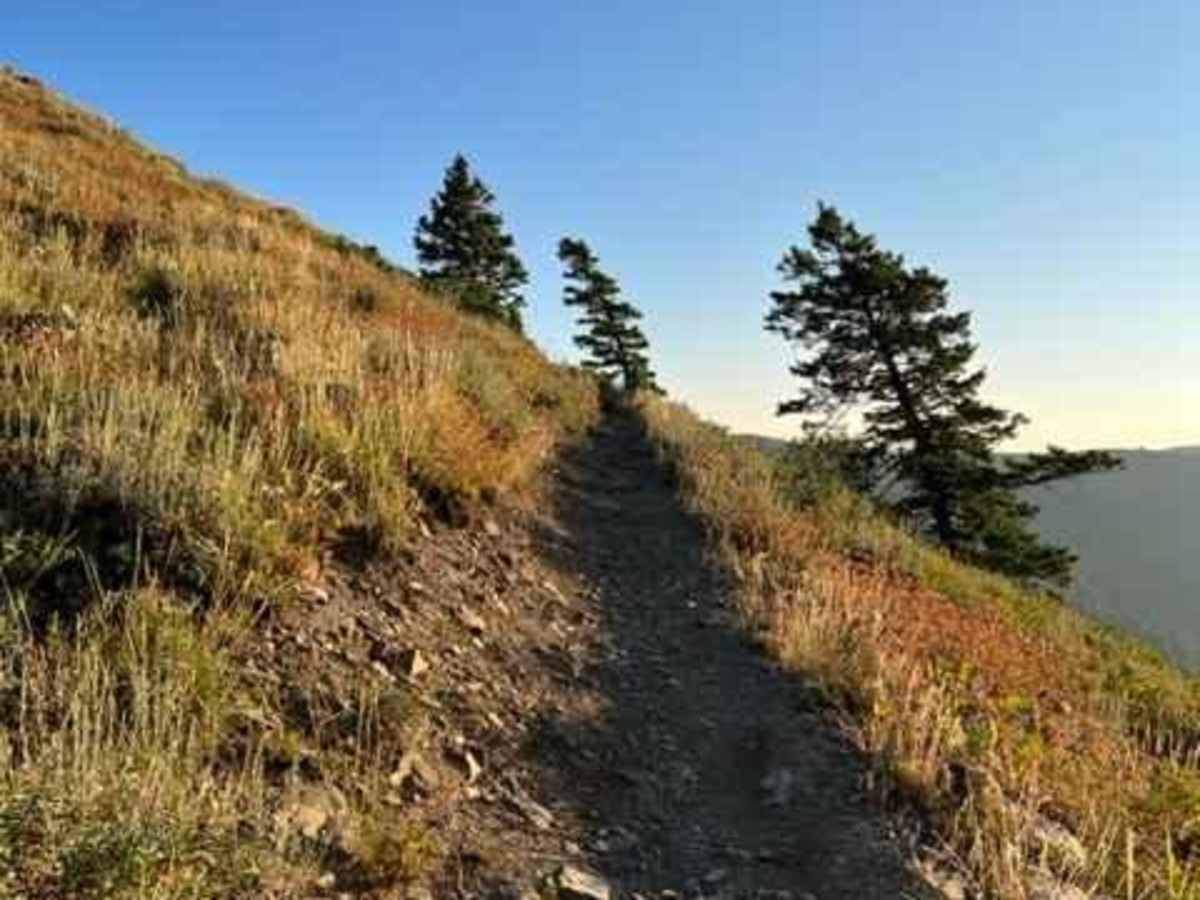 Lewis Peak (6041) photo 3