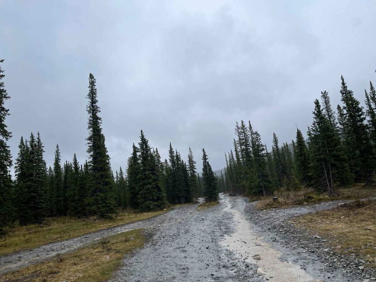Waiparous Creek Road photo 4