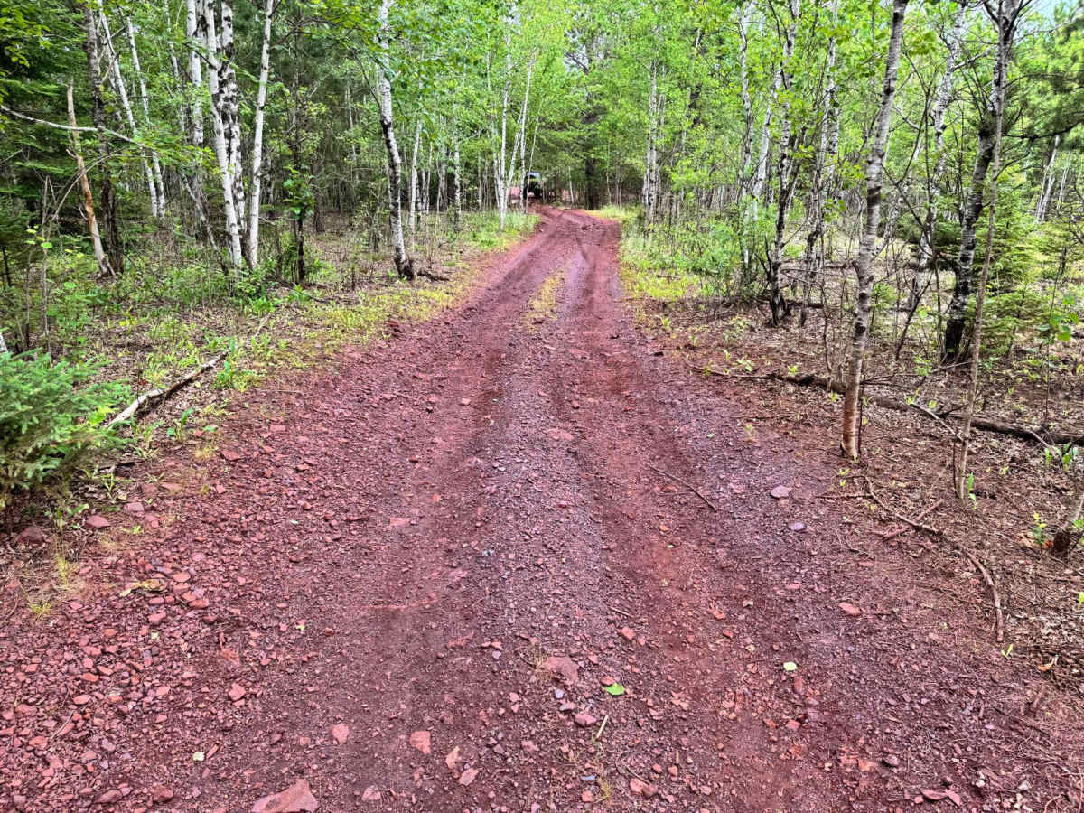 Pinestraw photo 3