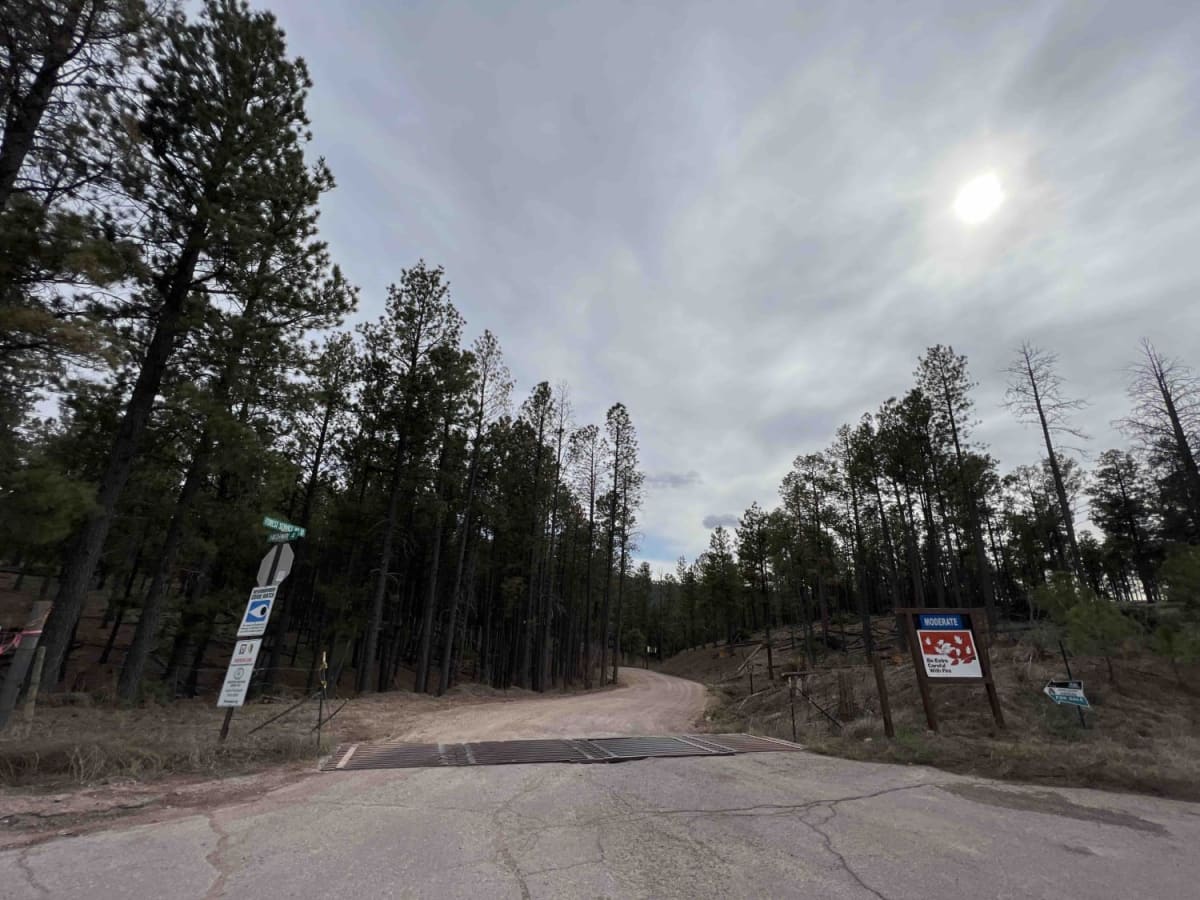 Forest Service Road 10 photo 3