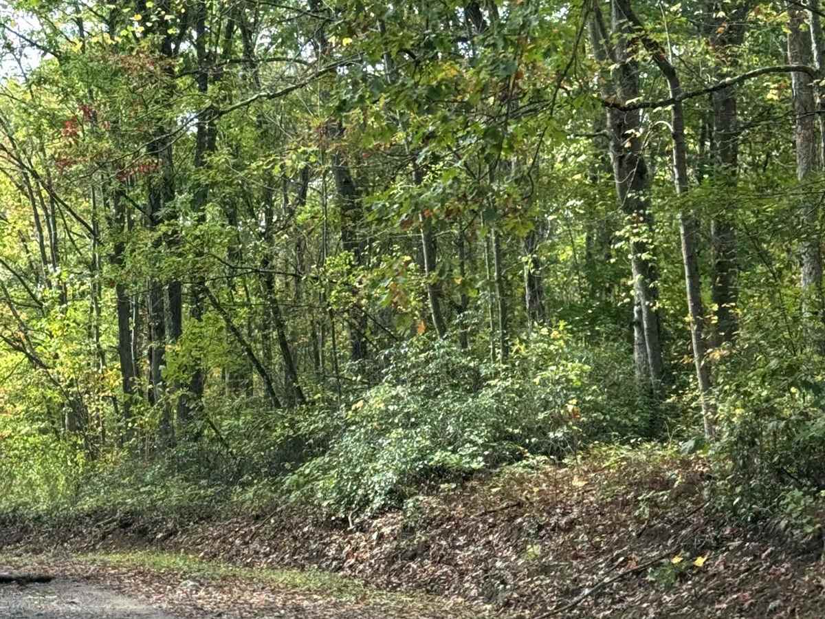 Sugarloaf to Flat Rock Trail photo 3