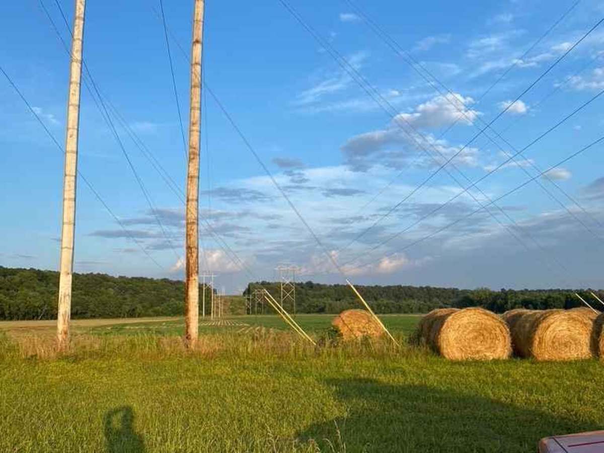 Bollinger Mill Road photo 4