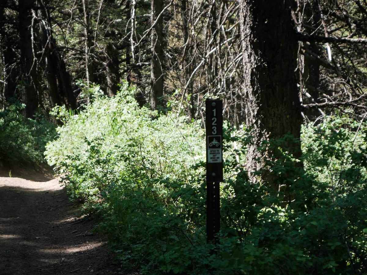 Bear Canyon #5123  photo 4