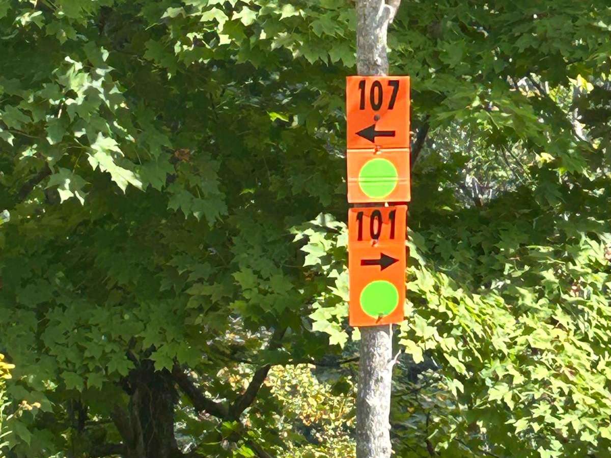 107 trail photo