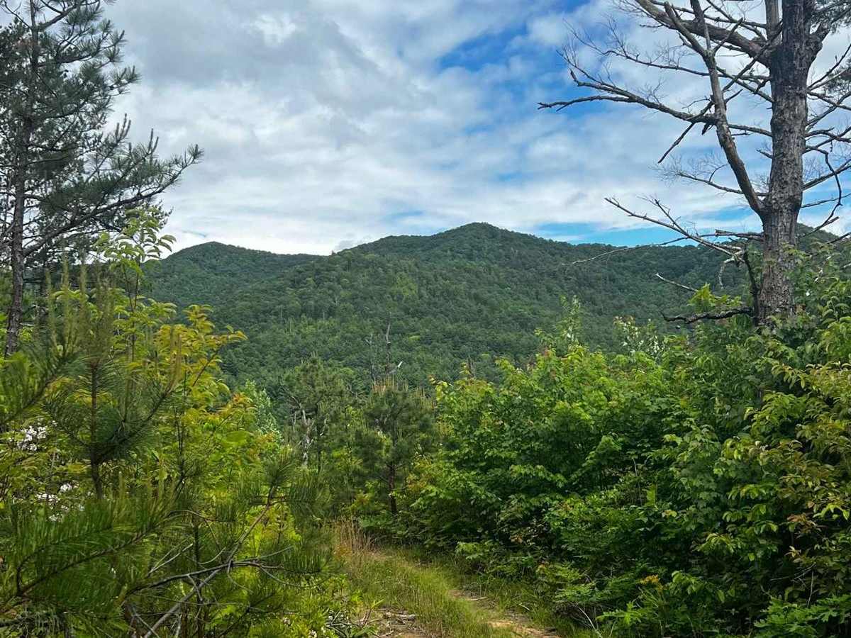 Irishman Branch trail photo