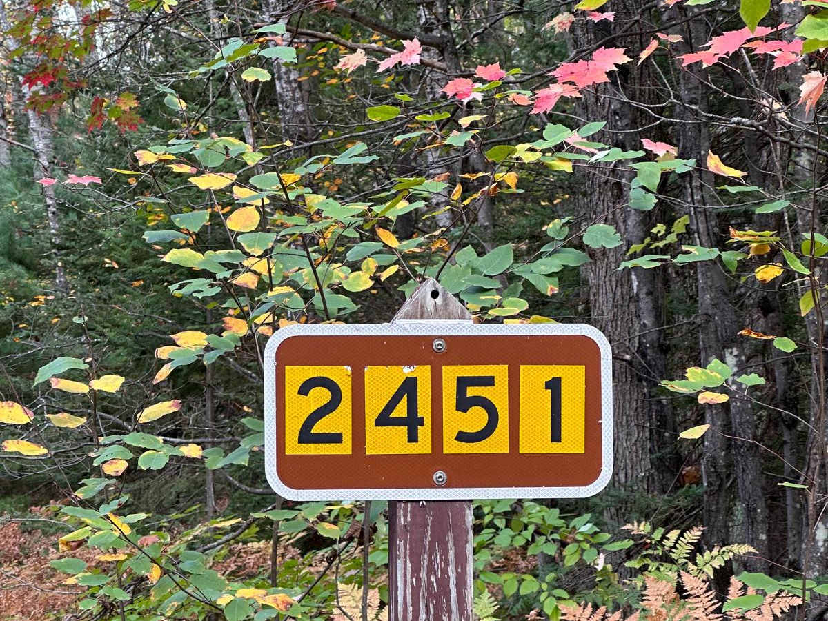 Deer Creek - FS 2451 trail photo