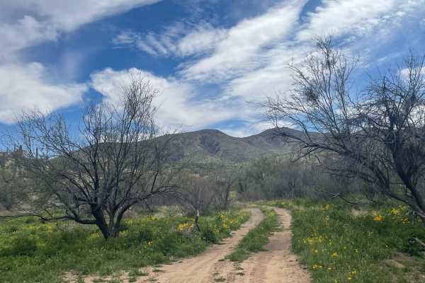Pipeline Camp Spur