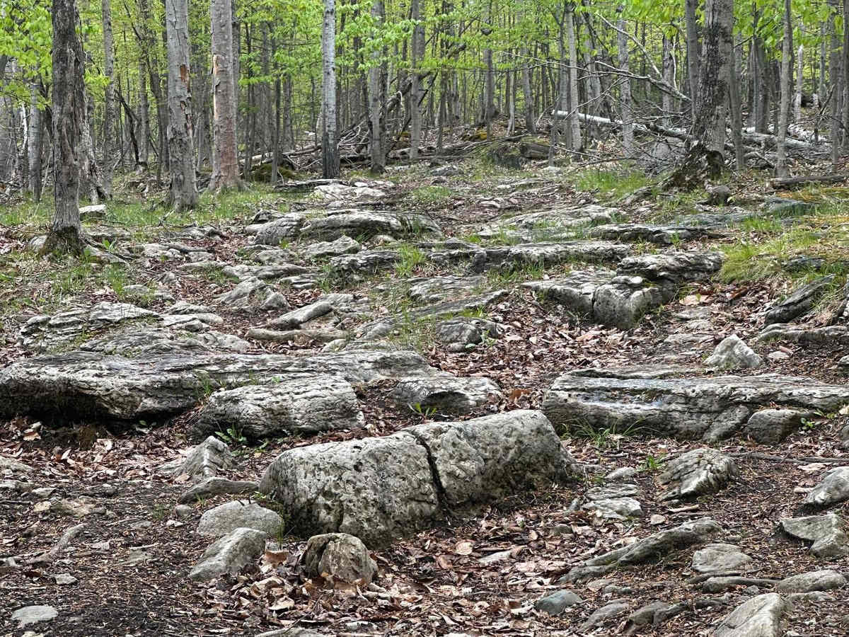 Quarry B photo 6