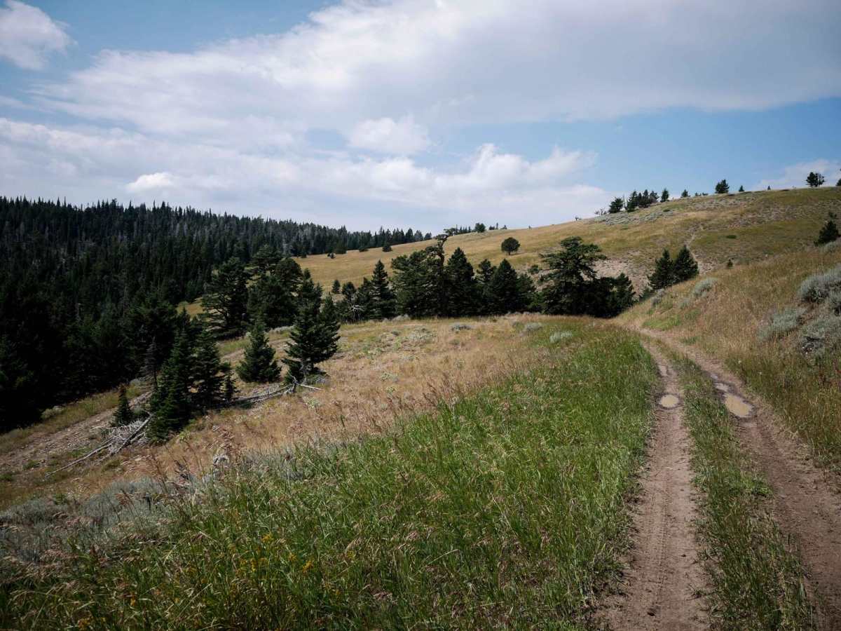 Bangtail Creek Loop ATV photo 2
