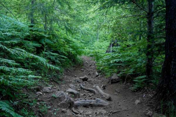 Plastic Downhill #110