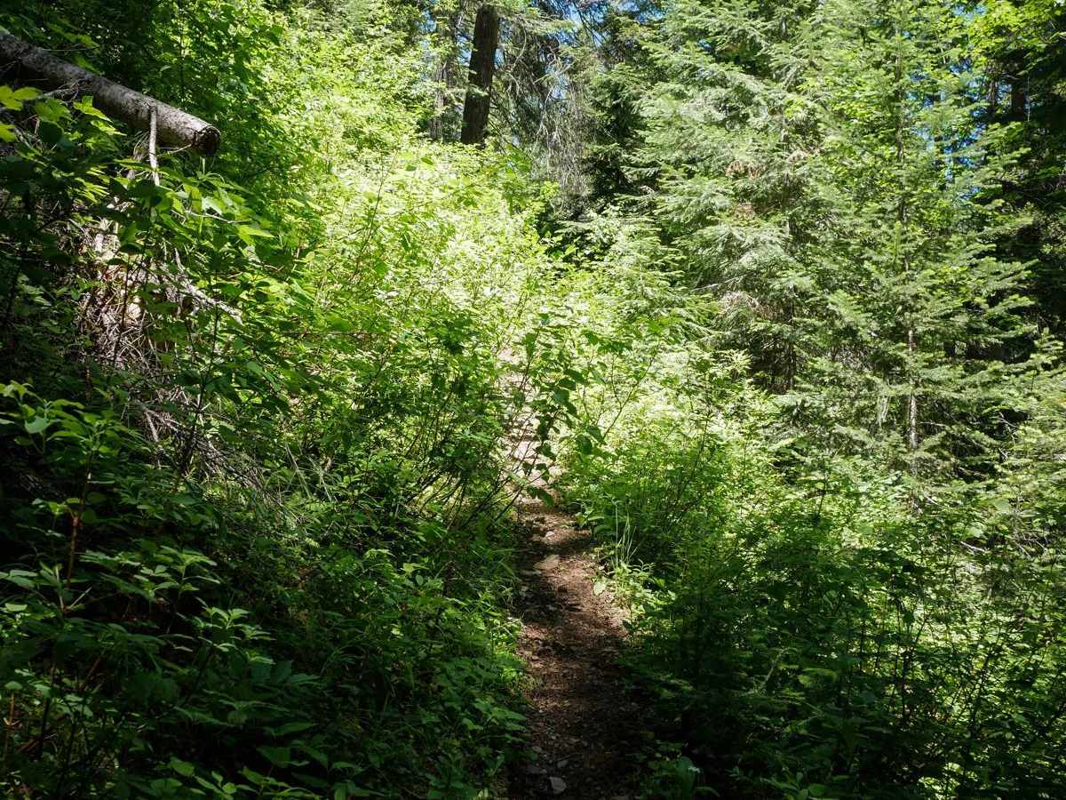 Bear Creek photo 2