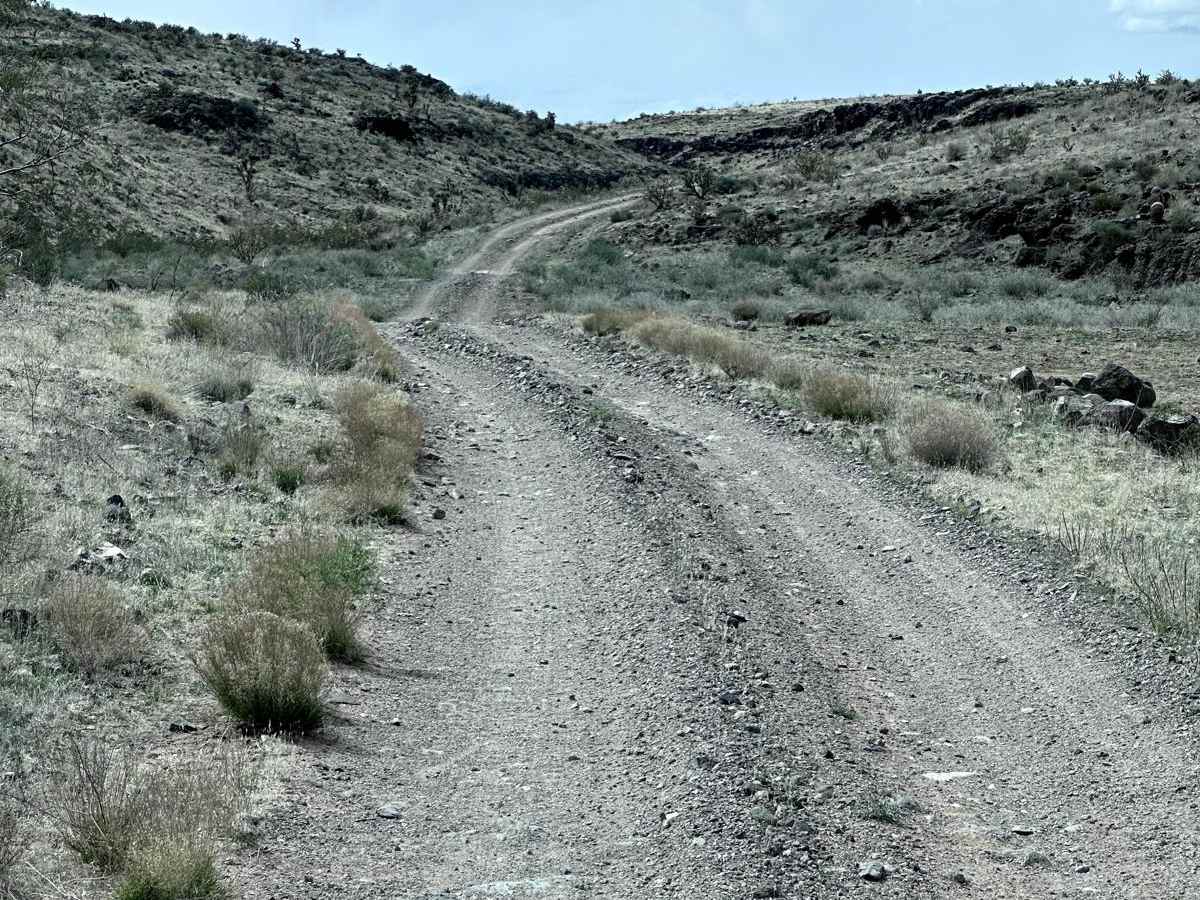 Pakoon Basin - BLM 1007 photo 5