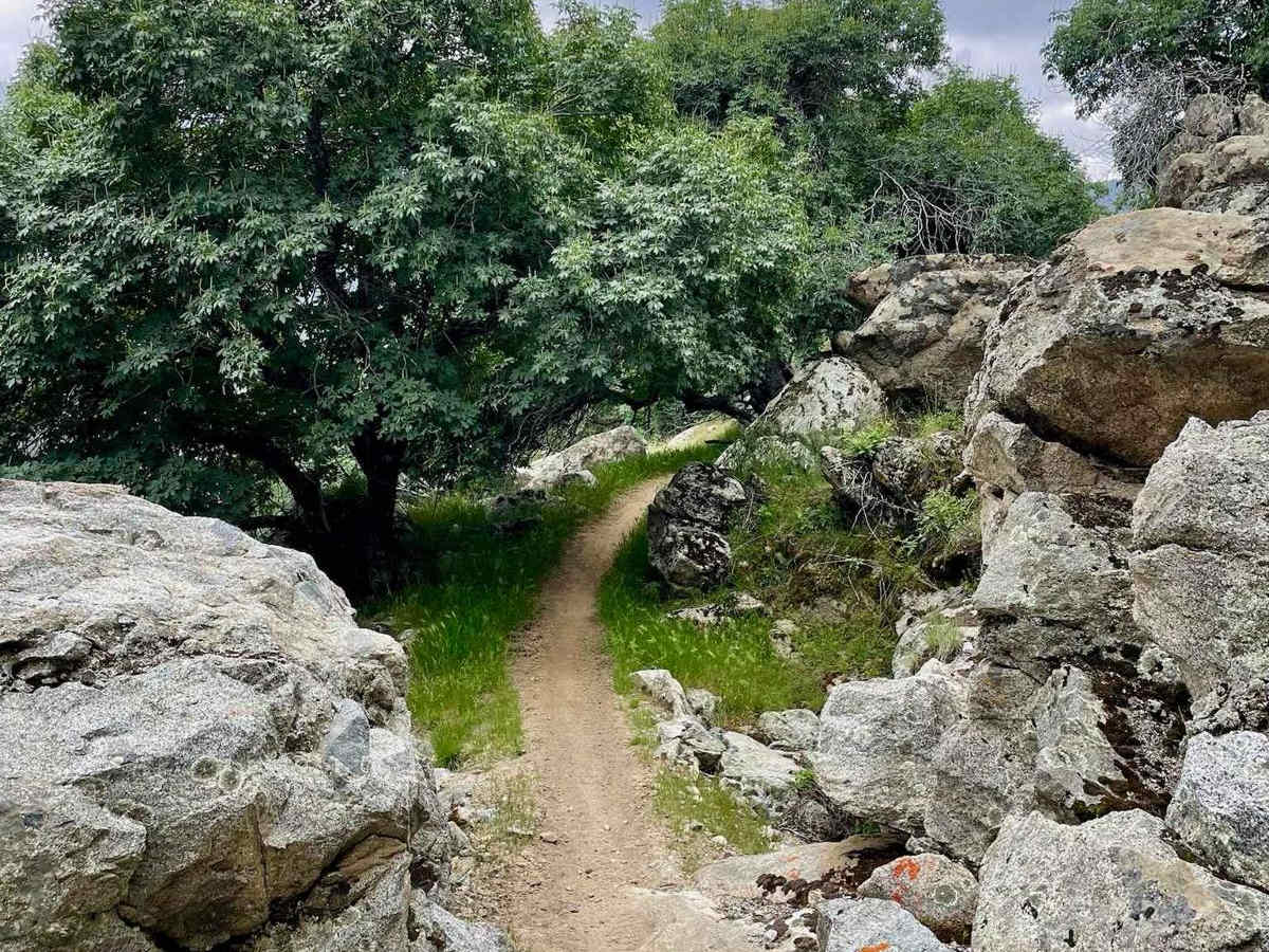 Kern Canyon 31E75 photo 5