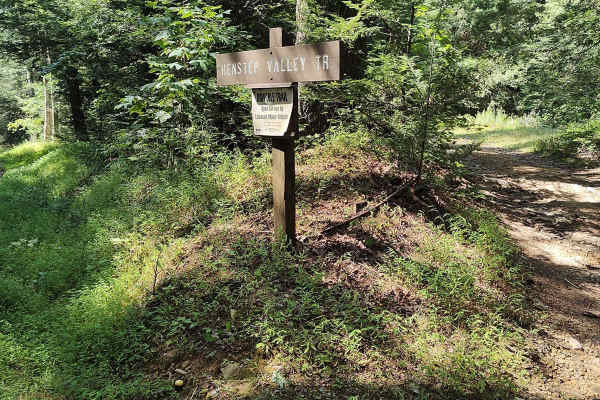 Middle Ridge Trail - Single Track