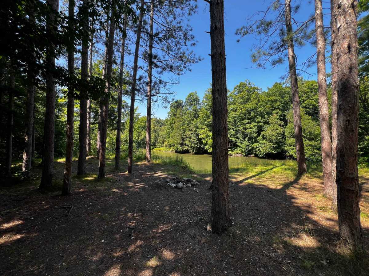River Camp Loop Trail trail photo