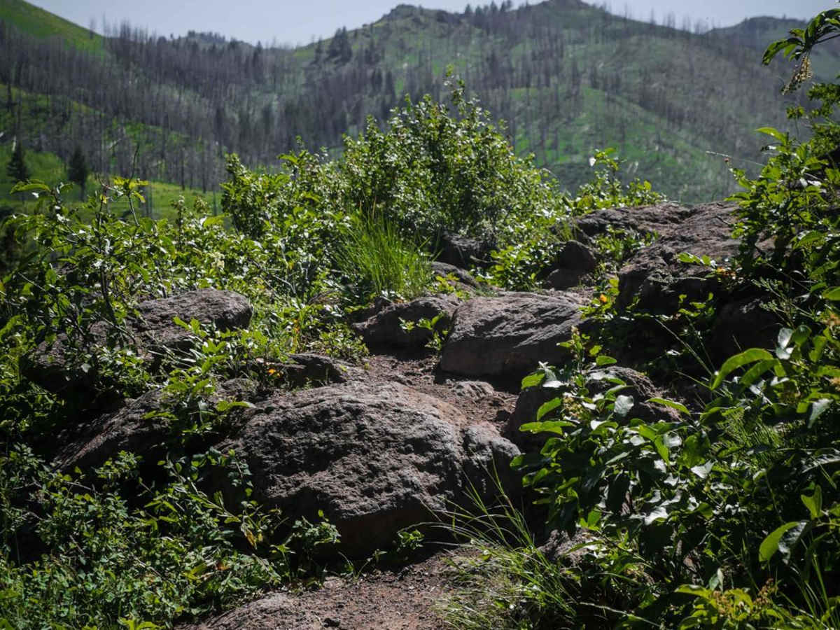 Mahoney Ridge photo 3