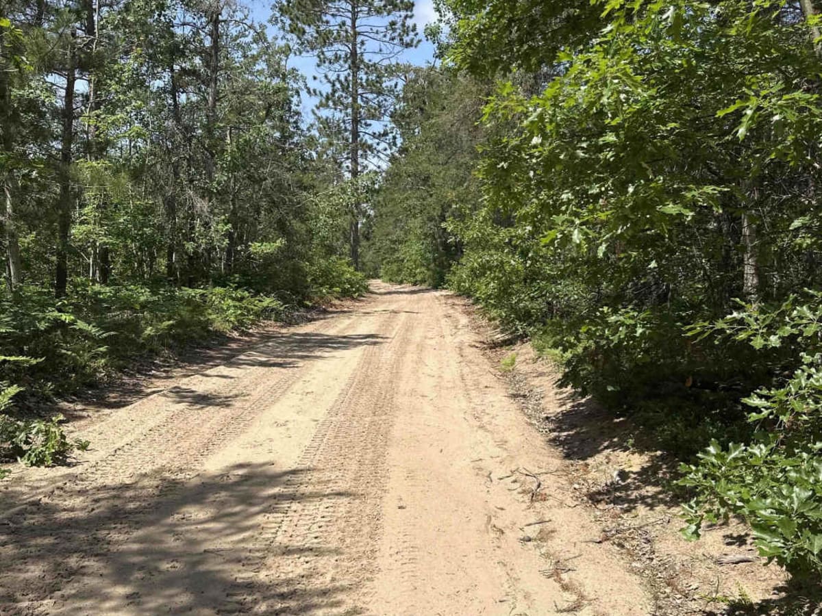 Indian River trailhead photo 5
