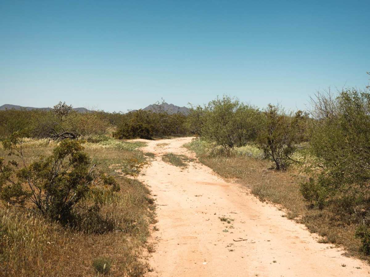 Knight Tank Direct trail photo