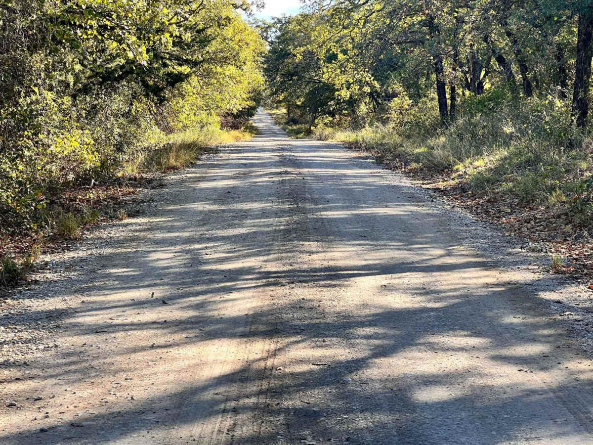 Overloop Bluff trail photo