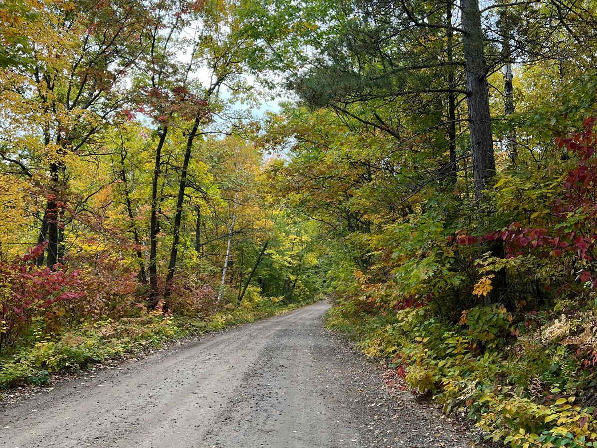 Parkway Forest Road photo 4