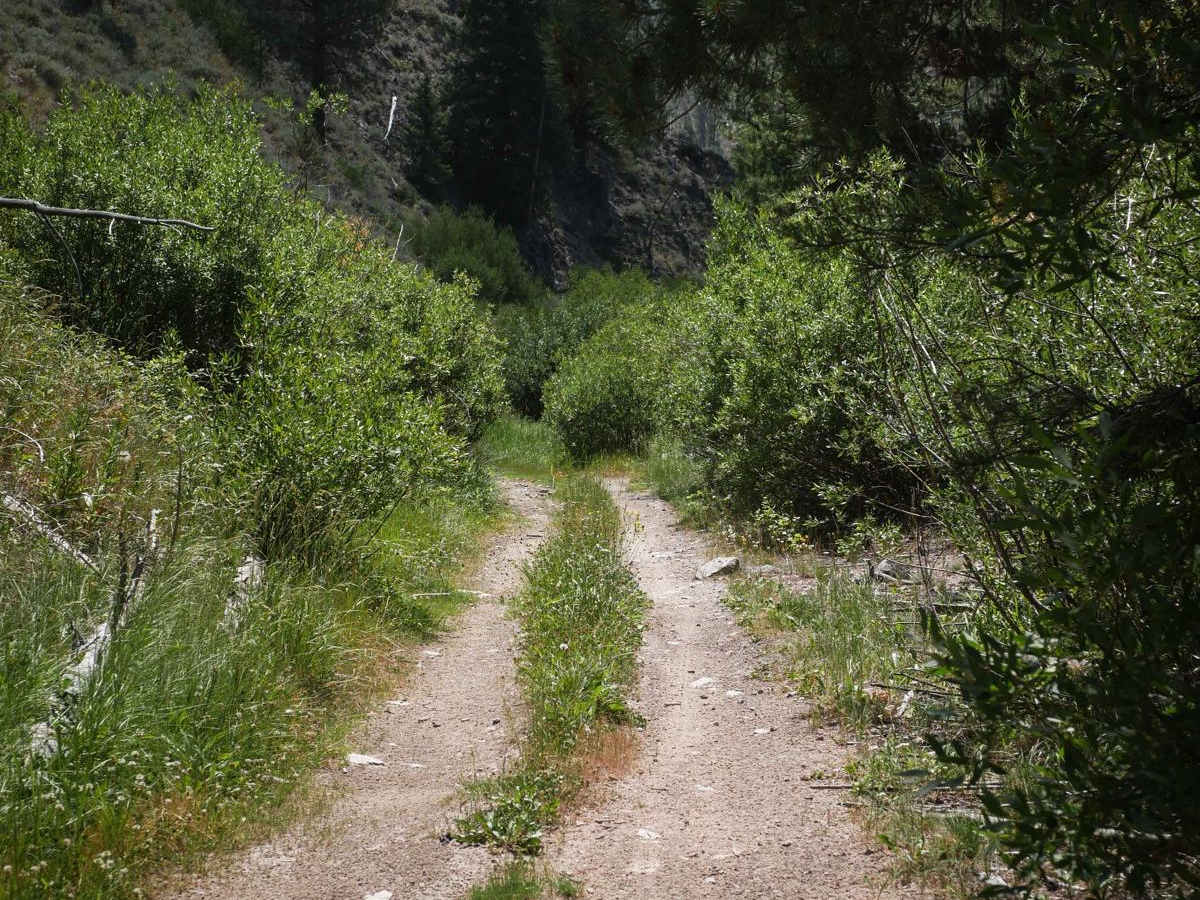 Kelly Creek ATV trail photo