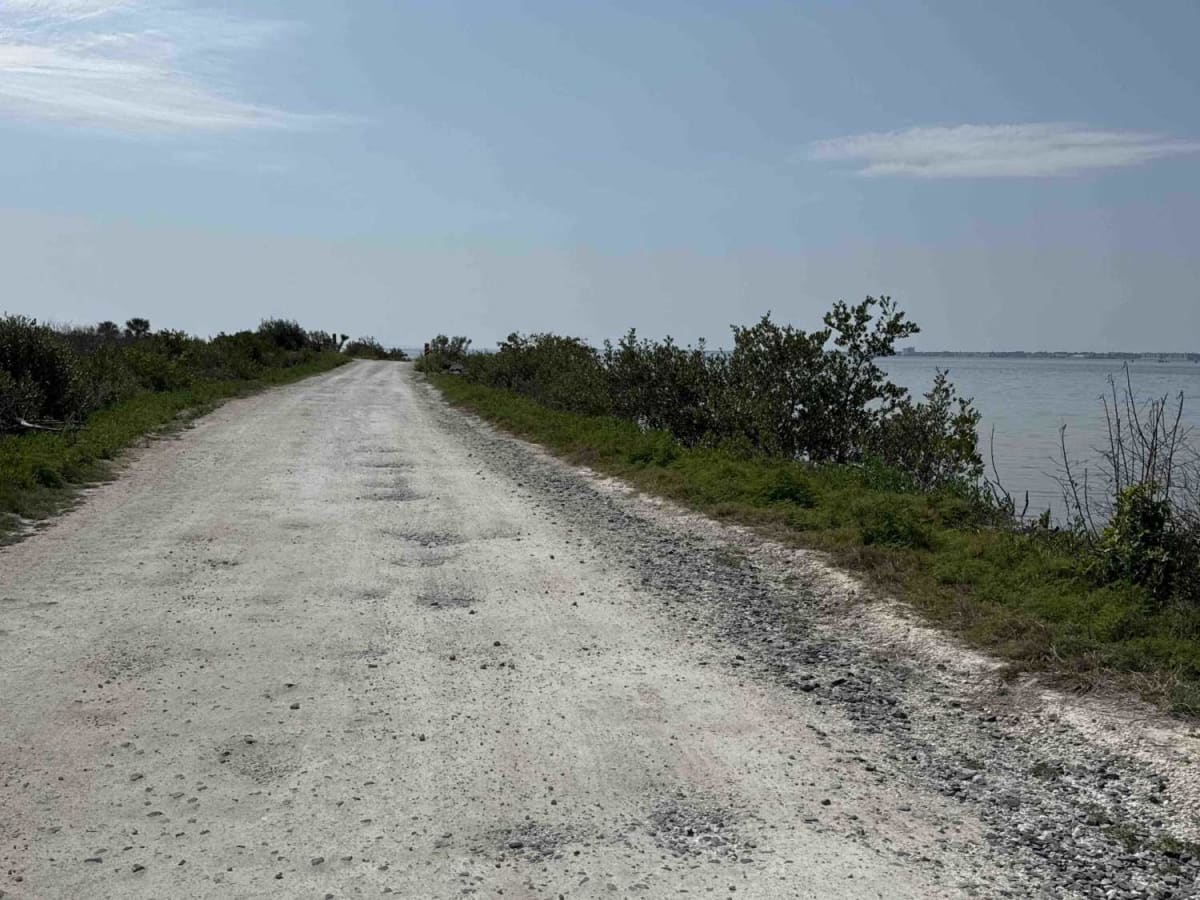 Gator Creek Road photo 2