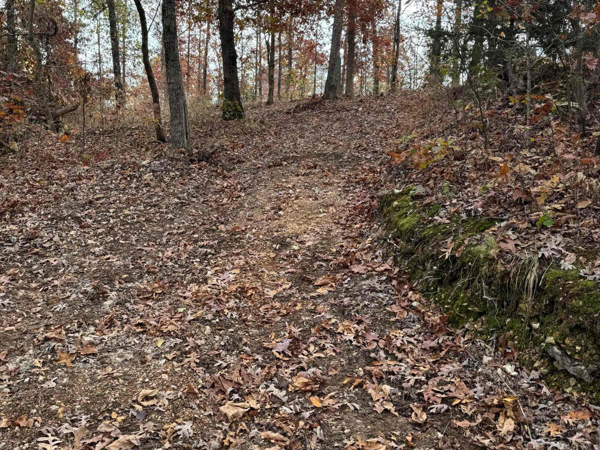 Green 189 photo 2