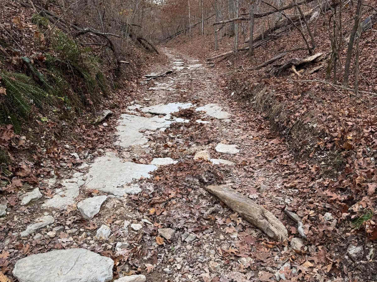 Hang Over Falls 180 photo 3